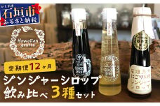 【12カ月定期便】ジンジャーシロップ3本セット飲み⽐べ 12ケ⽉ 定期便 | 定期便 沖縄県石垣市 沖縄 沖縄県 琉球 八重山 八重山諸島 石垣 石垣島 送料無料 ⽯垣島産⽣姜 生姜 シロップ ジンジャー ジンジャーシロップ グラニュー糖 黒糖 砂糖 ⾚唐⾟⼦ 果汁 塩 ⽯垣の塩 レモングラス レモン フルーツ ミント  ギフト 国産 飲み比べ HW-2