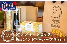 ジンジャーシロップ(⿊糖＆レモン)2本セットBOX⼊り、島のジンジャーハーブティーセット HW-3 【沖縄県石垣市 沖縄 沖縄県 琉球 八重山 八重山諸島 石垣 石垣島 送料無料 ⽯垣島産⽣姜 生姜 シロップ ジンジャー ジンジャーシロップ グラニュー糖 黒糖 砂糖 ⾚唐⾟⼦ 果汁 塩 ⽯垣の塩 レモングラス レモン フルーツ ハーブ ハーブティー ミント  ギフト 国産】