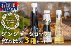 ジンジャーシロップ飲み⽐べ3種セット(200ML×1本、120ML×2本)　HW-5 【沖縄県石垣市 沖縄 沖縄県 琉球 八重山 八重山諸島 石垣 石垣島 送料無料 ⽯垣島産⽣姜 生姜 シロップ ジンジャー ジンジャーシロップ グラニュー糖 黒糖 砂糖 ⾚唐⾟⼦ 果汁 塩 ⽯垣の塩 レモングラス レモン フルーツ ミント  ギフト 国産】