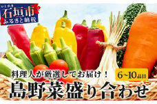 料理人が厳選した島野菜盛り合わせ (6～10品目) 【産地直送 野菜 野菜詰合せセット  やさい セット 詰め合わせ 冷蔵対応 沖縄県 石垣市 八重山 】TM-7