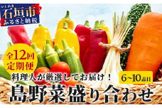 【定期便 12ヶ月】料理人が厳選した島野菜 (6～10品目×12回)  【 産地直送 野菜 野菜詰合せセット  やさい セット 詰め合わせ 冷蔵対応 沖縄県 石垣市 八重山 】 TM-8