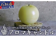 100%⽯垣島の⽉桃の⾹りで作ったアロマキャンドル MU-1 【沖縄県石垣市 沖縄 沖縄県 琉球 八重山 八重山諸島 石垣 石垣島 送料無料 アロマキャンドル アロマ キャンドル 月桃 国産】