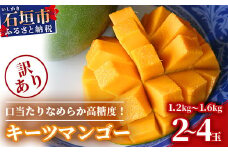 予約受付【訳あり】沖縄県石垣島産 キーツマンゴー 1.2kg～1.6kg【2～4玉】【口当たりがなめらかな 高糖度マンゴー】【規格外】2025年発送分