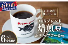 【6ヶ月定期便】石垣島産コーヒー豆MIXブレンド ドリップパック10個と焙煎豆100g×4袋セット | 沖縄県石垣市 沖縄 沖縄県 琉球 八重山 八重山諸島 石垣 石垣島 定期便 送料無料 コーヒー チャンプルー コロンビア ブラジル 豆 コーヒー豆 ドリップ 農産物 高級コーヒー IW-5