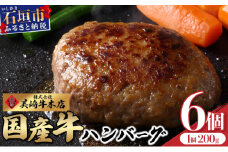 美崎牛ハンバーグ200g×6個【 お肉 美崎牛 ハンバーグ 牛肉 肉 】（tokyoFMで紹介された美崎牛です！♪）O-5