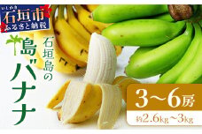 ＜先行予約＞石垣島の島バナナ、3～6房（約2,6～3kg前後入り）《4月中旬～順次発送》爽やか酸味のスッキリ系バナナ、少し冷やしてもイイんです！ SI-34　