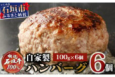 高級 黒毛和牛 石垣牛 100% 自家製 ハンバーグ 100g × 6個 600g　I-21
