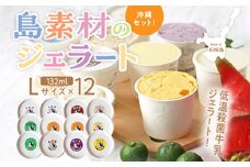 石垣島ミルミル本舗 南の島から島素材ジェラート！【沖縄セット 12個入り】（1個 132ml）　Z-6　【石垣島 石垣市 沖縄県石垣市 セット ジェラート 石垣島産 八重山】 