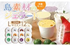 石垣島ミルミル本舗 南の島から島素材ジェラート！【沖縄セット 12個入り】（1個 132ml）　Z-6　【石垣島 石垣市 沖縄県石垣市 セット ジェラート 石垣島産 八重山】 