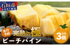 《2025年4月以降順次発送》【先行予約】最高糖度20度！？ 完熟の極 石垣島産パイナップル ピーチパイン3個セット【 沖縄 石垣島 石垣 八重山 パイン ピーチパイン 期間限定 数量限定 沖縄県 石垣島産 】TF-1-1
