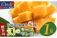 《2025年7月下旬～8月下旬発送》【先行予約】最高糖度23度！？ 完熟！7Lサイズ 幻のキーツマンゴー【贈答向け】【沖縄 石垣島 石垣 八重山 マンゴーキーツマンゴー 期間限定 数量限定 沖縄県 石垣島産 完熟】TF-4-1