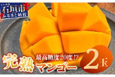 【先行予約】《2025年6月下旬～7月下旬発送》 最高糖度20度！？ 完熟！3Lサイズ 石垣島マンゴー 2玉約900g【沖縄 石垣島 石垣 八重山 マンゴー 完熟マンゴー 期間限定 数量限定 沖縄県 石垣島産 】TF-5-1