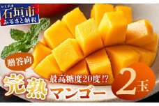【先行予約】《2025年6月下旬～7月下旬発送》 最高糖度20度！？ 完熟の極！石垣島マンゴー 2玉約900g【贈答向け】【 産地直送 完熟マンゴー アーウィン マンゴー 沖縄 八重山 石垣島産 】TF-6-1