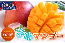 石垣島 冷凍マンゴー 1.5kg 3〜6玉【沖縄県 石垣市 産地直送 旬 石垣島産 マンゴー 完熟マンゴー アーウィン種マンゴー フローズン フルーツ 冷凍】