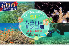 サンゴ再生応援ツアー ～甦れ！八重山のサンゴ畑～（24名まで）　JL-2【沖縄 八重山 八重山諸島 石垣島  サンゴ サンゴ礁 応援 ツアー 体験】 
※ご寄付の前にご予約お願いします。