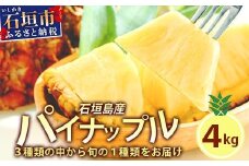 【訳あり】 石垣島産パイナップル4～10個 約4kg 《2025年5月から順次発送いたします》 | ふるさと納税 パイナップル 産地直送 フルーツ 果物 パイン 石垣 沖縄 沖縄県石垣市 石垣島 KP-15
