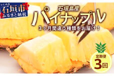 【予約受付】【定期便】石垣島産 パイナップル 3回 定期 3種 計6玉【2025年 4～5月頃・5月・6月頃お届け】  ふるさと納税 パイナップル パイン フルーツ 果物 果実 定期便 定期 3回 3か月 沖縄県 石垣市 石垣島 産地直送 ふるさと 人気 送料無料 KP-18