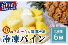 石垣島冷凍パイナップル6回定期便　【石垣島 パイナップル 定期便 果物 沖縄 沖縄県石垣市 石垣市 パイン】EF-12