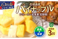 石垣島産パイナップル3回定期便【冷凍 通年販売 産地直送 沖縄県 石垣市 パイナップル  パイン ピーチパイン スナックパイン ゴールデンパイン 定期便】EF-10