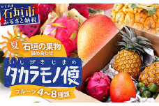 《2025年7月中旬～9月上旬順次発送予定》石垣島の夏「果物」詰め合わせ～夏のタカラモノ果物便～【 産地直送 沖縄 石垣 石垣島 くだもの トロピカルフルーツ 果物 南国 フルーツ 詰め合わせ フルーツ便 】SH-5