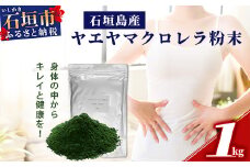 石垣島産ヤエヤマクロレラ粉末（1kg）AR-3【ヤエヤマクロレラ 健康 美容   石垣島産】