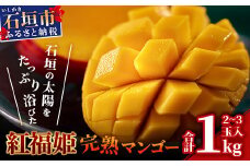 「紅福姫ブランド」石垣島のマンゴー 1kg 2〜3玉【沖縄県 石垣市 産地直送 旬 石垣島産 マンゴー 完熟マンゴー アーウィン種マンゴー】OT-4