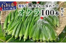 希少！黒島さんの採れたてオクラ100本セット（特別栽培、栽培期間中農薬不使用）10月下旬順次発送【 沖縄県 石垣市 沖縄 石垣島 おくら オクラ 野菜 採れたて フレッシュ 夏野菜 冬野菜 南国 離島のいいもの 沖縄いいもの石垣島 】OI-7