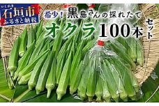 希少！黒島さんの採れたてオクラ100本セット（特別栽培、栽培期間中農薬不使用）10月下旬順次発送【 沖縄県 石垣市 沖縄 石垣島 おくら オクラ 野菜 採れたて フレッシュ 夏野菜 冬野菜 南国 離島のいいもの 沖縄いいもの石垣島 】OI-7