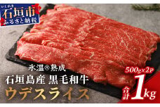 【氷温®熟成】石垣島産 黒毛和牛 ウデスライス 500g×2【合計1kg】お肉 肉 牛肉 冷凍 すきやき すき焼き 牛丼 和牛 しゃぶしゃぶ 赤身 八重山食肉センター うで ウデ YC-1