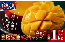 訳あり【2025年発送】「紅福姫ブランド」石垣島のマンゴー 1.2kg 2〜4玉【沖縄県 石垣市 産地直送 旬 石垣島産 マンゴー 完熟マンゴー アーウィン種マンゴー】OT-1