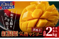 訳あり【2025年発送 予約受付分】「紅福姫ブランド」石垣島のマンゴー 2.4kg 4〜8玉【沖縄県 石垣市 産地直送 旬 石垣島産 マンゴー 完熟マンゴー アーウィン種マンゴー】OT-2