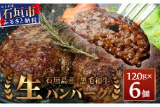 石垣島産 黒毛和牛 生ハンバーグ 120g x 6個 【沖縄 石垣 石垣島産 黒毛和牛 和牛 ハンバーグ】 UN-1