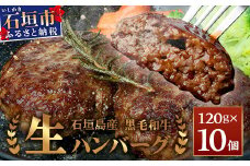 石垣島産 黒毛和牛 生ハンバーグ 120g x 10個 【沖縄 石垣 石垣島産 黒毛和牛 和牛 ハンバーグ】 UN-2