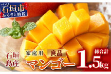 【先行予約】 石垣島産 マンゴー 家庭用（良品）（アーウィン種）3玉～5玉入り1箱（1.5kg×1箱）合計約1.5ｋｇ《2025年6月中旬より順次発送》【 産地直送 家庭用 訳あり 沖縄県 石垣市 石垣島 訳ありマンゴー マンゴー アーウィン JA 】 AE-11
