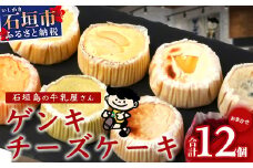 【島外不出のゲンキくん製品が返礼品に!!】ゲンキチーズケーキ 12個 プレーン MIX バラエティ セット 八重山ゲンキ乳業 お土産 観光 ゲンキくん ゲンキみるく 石垣島の牛乳屋さんのチーズケーキ OP-8