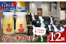 ゲンキプリン 12個 （プレーン6個、マンゴー6個）【八重山ゲンキ乳業 お土産 観光 ゲンキくん ゲンキみるく 石垣島の牛乳屋さんのプリン】OP-2【島外不出のゲンキくん製品が返礼品に!!】【大人気の「ゲンキくん保冷バッグ」もお届け】