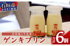 ゲンキプリン 6個 【プレーン 八重山ゲンキ乳業 お土産 観光 ゲンキくん ゲンキみるく 石垣島の牛乳屋さんのプリン】OP-1【島外不出のゲンキくん製品が返礼品に!!】【大人気の「ゲンキくん保冷バッグ」もお届け】