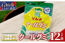【島外不出のゲンキくんグッズが返礼品に!!】八重山ご当地キャラクターゲンキくん クールグミ 12袋【八重山ゲンキ乳業 お土産 観光 ゲンキくん ゲンキクール サイダー 乳酸菌入り】OP-3【日本最南端寺院石垣島桃林寺 ご祈祷ステッカー付】