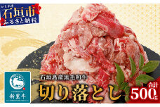石垣島産 黒毛和牛 新里牛 多用途抜群！ 切落し (500g×1) 500g SZ-13
