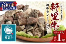 石垣島産 黒毛和牛 新里牛 ホルモンミックス(500g×２) 合計1kg SZ-23