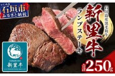 石垣島産 黒毛和牛 新里牛 ランプステーキ (250g×1) 250g SZ-9