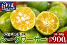 こだわりの青切りシークワーサー 900g 約30〜40個 【 産地直送 沖縄 石垣島 石垣 八重山 シークワーサー 柑橘 フルーツ くだもの 果物 】TF-7-1