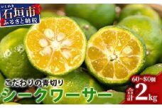 こだわりの青切りシークワーサー 2kg 約60〜80個 【 産地直送 沖縄 石垣島 石垣 八重山 シークワーサー 柑橘 フルーツ くだもの 果物 】TF-8-1