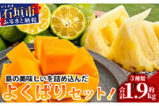 《2024年6月下旬～7月末発送》【先行予約】島の美味しい詰め込んだよくばりセット！【 産地直送 沖縄 石垣島 石垣 八重山 マンゴー、パイナップル、シークワーサー フルーツ くだもの 果物 】TF-9