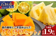 《2024年6月下旬～7月末発送》【先行予約】島の美味しい詰め込んだよくばりセット！【 産地直送 沖縄 石垣島 石垣 八重山 マンゴー、パイナップル、シークワーサー フルーツ くだもの 果物 】TF-9