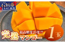 《2025年6月下旬～7月下旬発送》【先行予約】最高糖度20度！？ 完熟！3Lサイズ 石垣島マンゴー 約400g【 沖縄 石垣島 石垣 八重山 マンゴー 完熟マンゴー 期間限定 数量限定 沖縄県 石垣島産 】TF-10-1