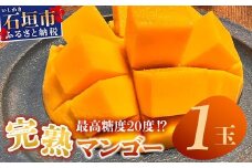 《2026年6月下旬～7月下旬発送》【先行予約】最高糖度20度！？ 完熟！3Lサイズ 石垣島マンゴー 約400g【 沖縄 石垣島 石垣 八重山 マンゴー 完熟マンゴー 期間限定 数量限定 沖縄県 石垣島産 】TF-10-1_R8
