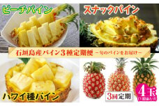 【予約受付】［3回定期便］石垣島産 ピーチパイン スナックパイン （ボゴール種） ハワイ種パイン《4玉×３回 合計12玉》【 産地直送 パイン 果実 果物 定期便 スナックパイン ピーチパイン パイナップル 】ZH-26