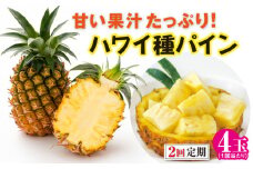 【予約受付】［2回定期便］ 石垣島産ハワイ種パイン (4玉×2回 合計8玉)【 産地直送 沖縄県 石垣市 期間限定 フルーツ パイナップル パイン パイン定期便】 ZH-25