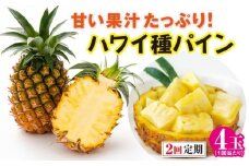 【予約受付】［2回定期便］ 石垣島産ハワイ種パイン (4玉×2回 合計8玉)【 産地直送 沖縄県 石垣市 期間限定 フルーツ パイナップル パイン パイン定期便】 ZH-25